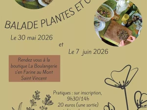 balade-plante-100526