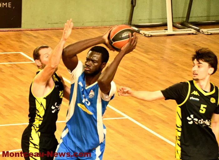 basket-montceau-0405269