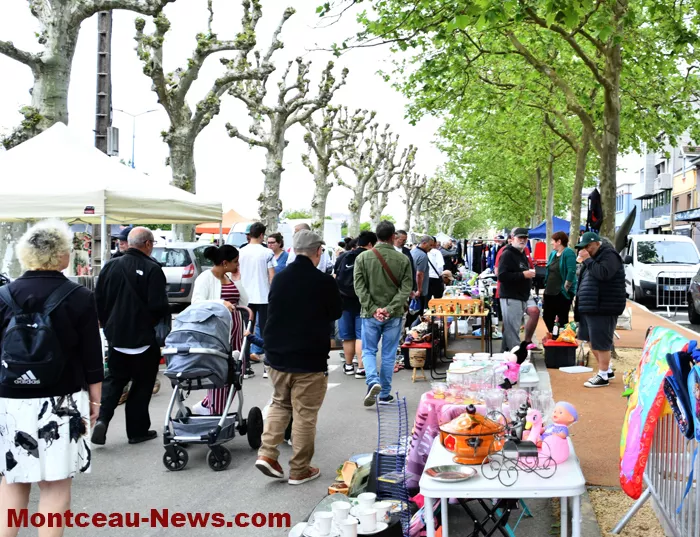 bouquinerie-0405267