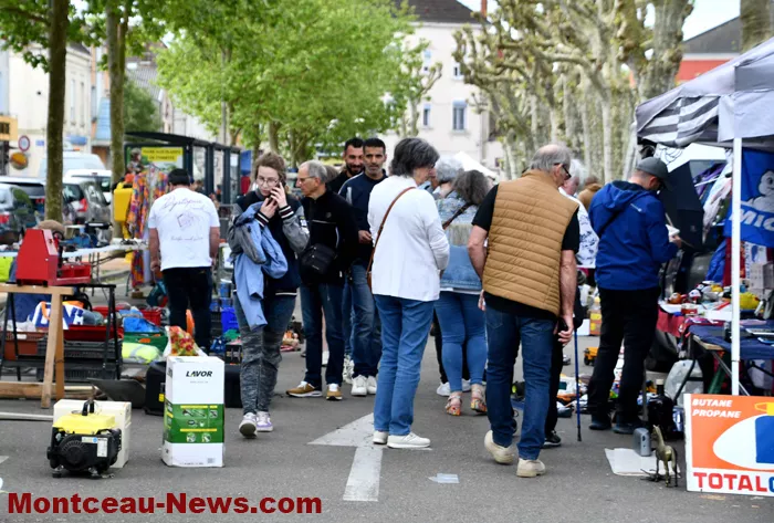 broc-bouquinerie-0405263