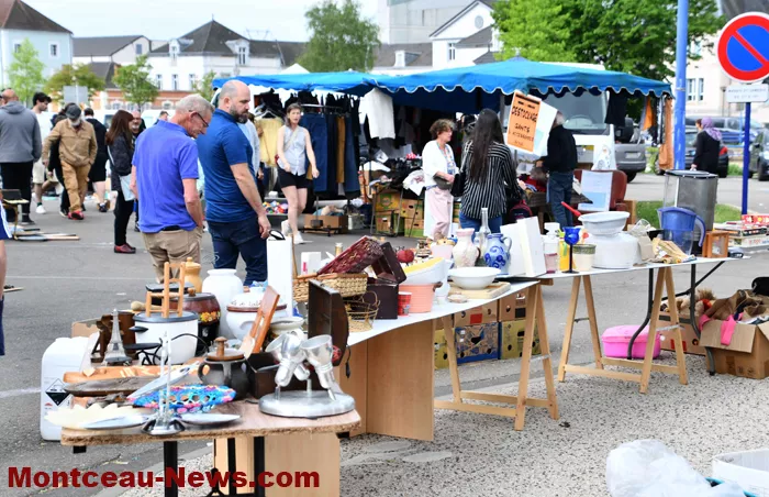 broc-bouquinerie-0405264