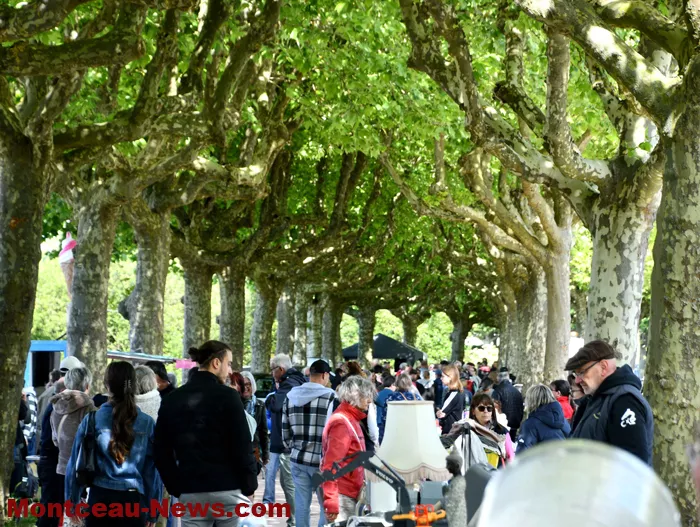 broc-marronniers-1805261