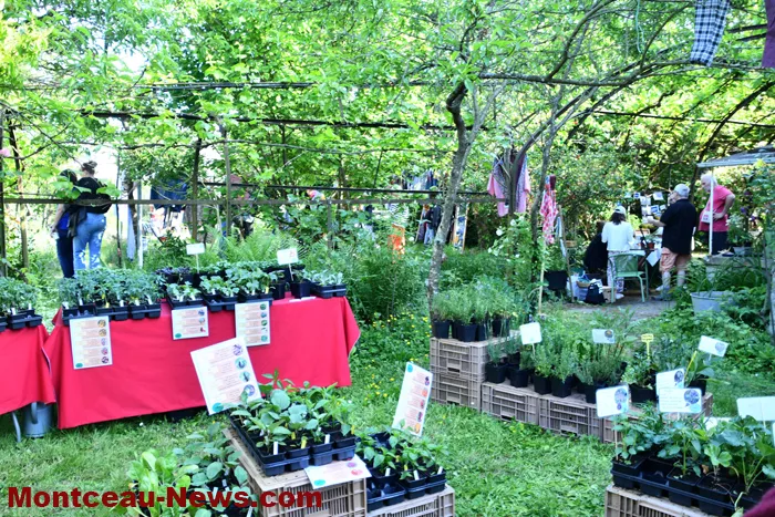expo-fabrique-0905261