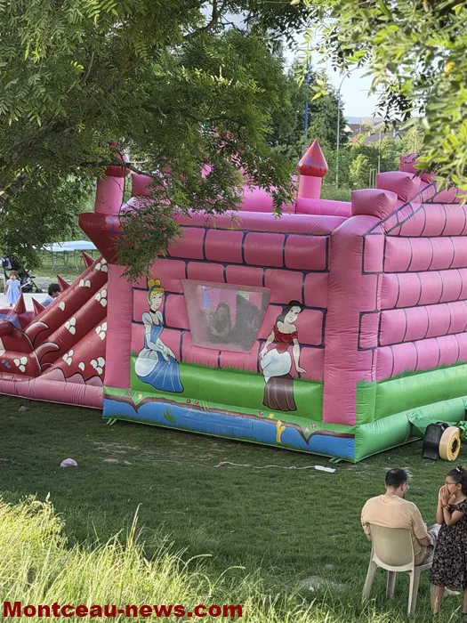 festi-zup-plessis-2805263