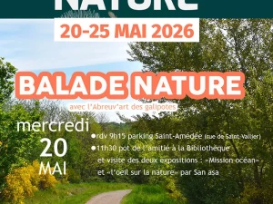 fete-nature-1305263