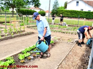 jardin-noix-3105261