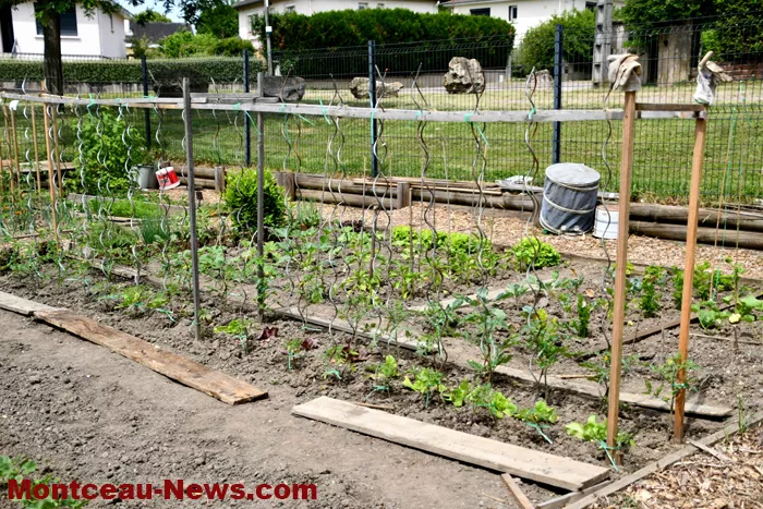 jardin-noix-3105266