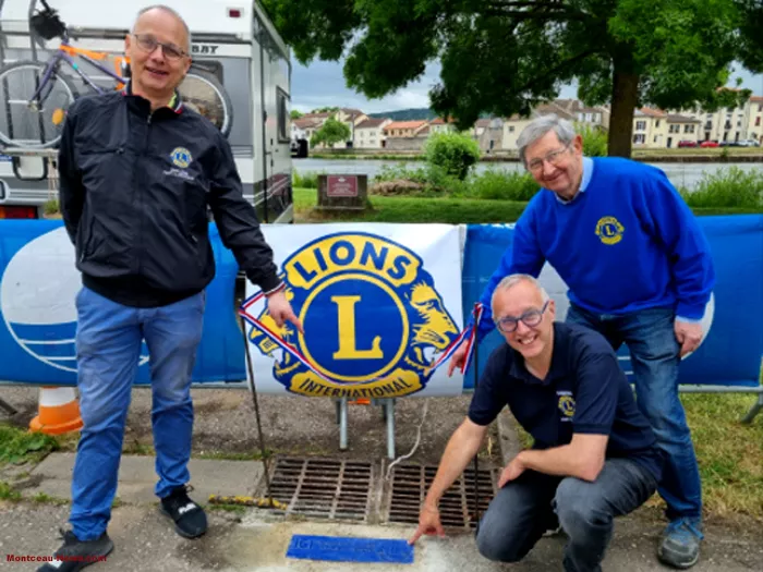 lions-20052610