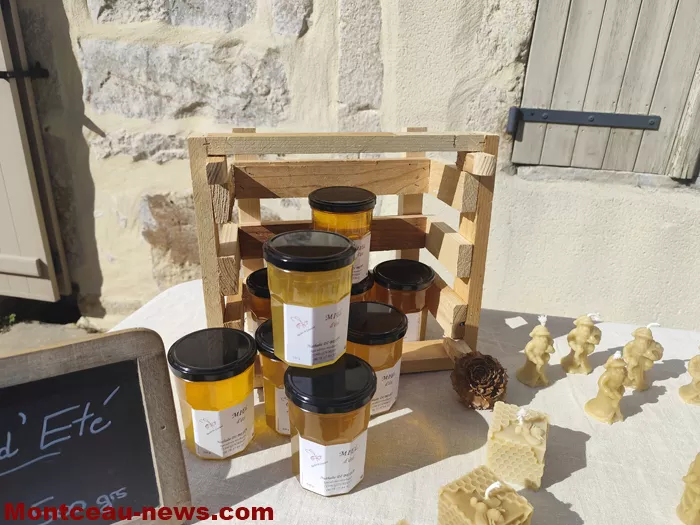 marche-mt-st-vincent-16052615
