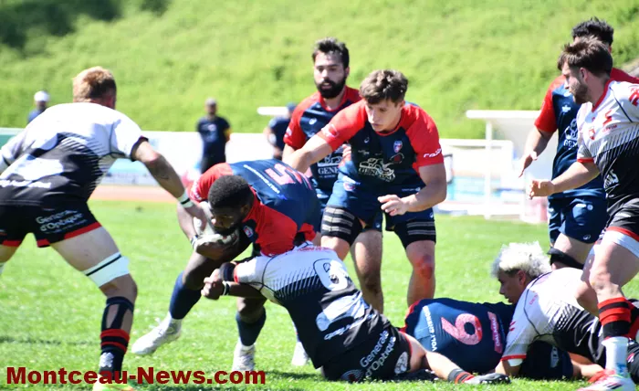 rugby-2505265