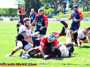 rugby-2505267