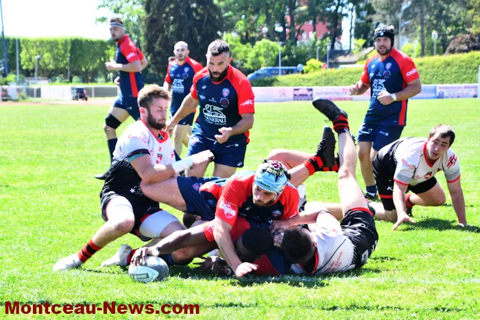 rugby-2505267