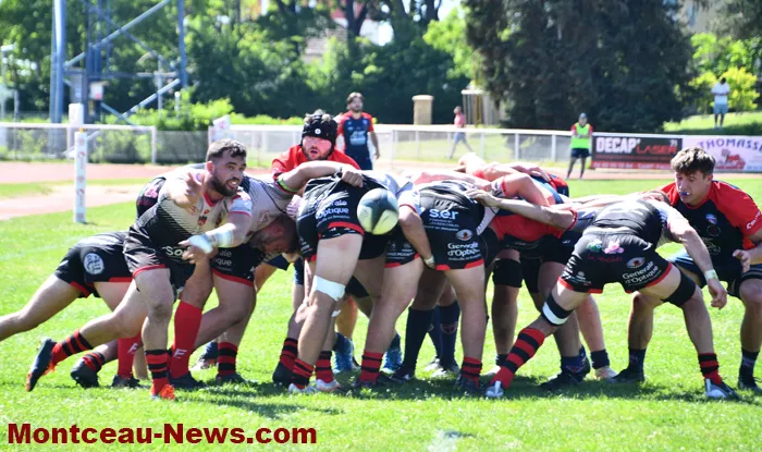 rugby-2505269