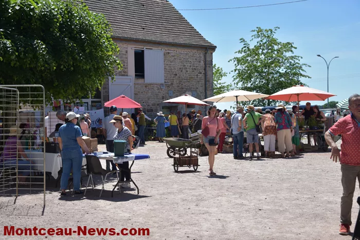 troc-plants-sanvignes-24052611