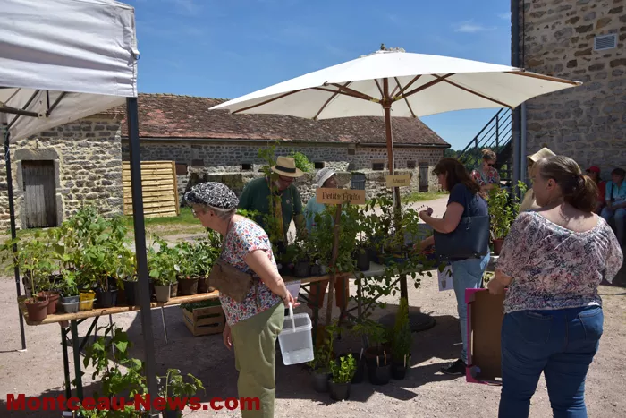 troc-plants-sanvignes-24052615