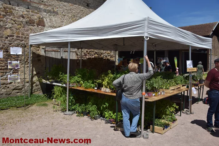troc-plants-sanvignes-2405262