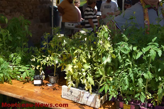 troc-plants-sanvignes-2405263