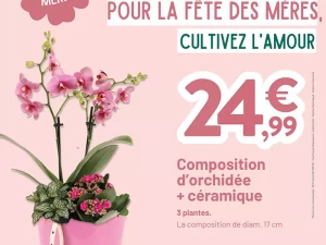 villa-mere-210526