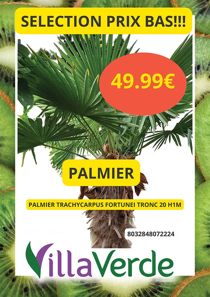 villaverde-1105267