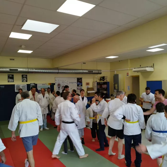 ad-judo-1006262