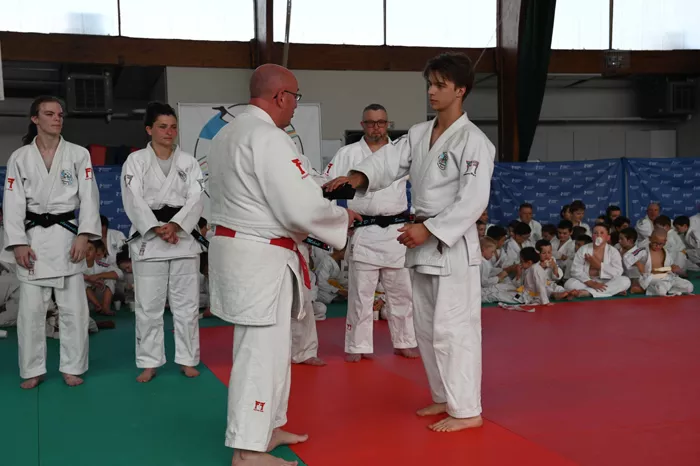 ad-judo-2806266