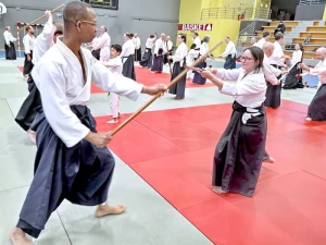 aikido-1006264