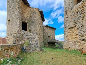 amical-anciens-eleves-1406262
