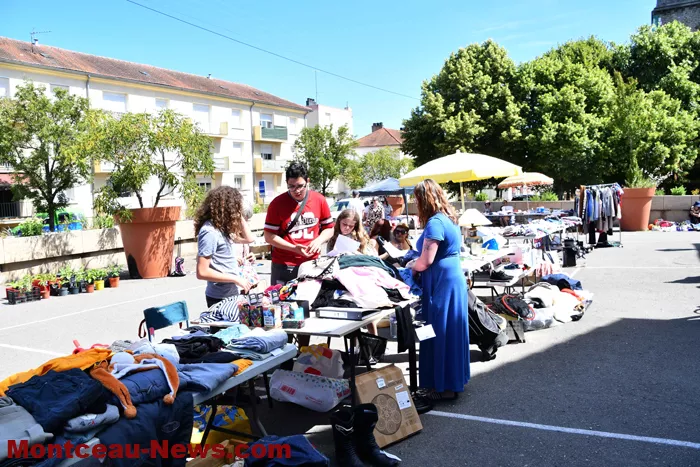 broc-bellevue-15062611