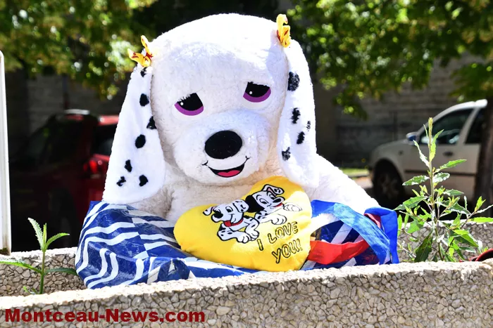 broc-bellevue-15062613