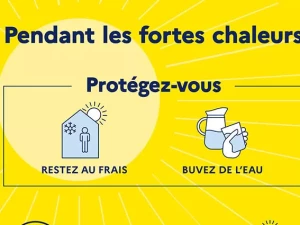 canicule-180626