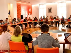 conseil-montceau-0606261