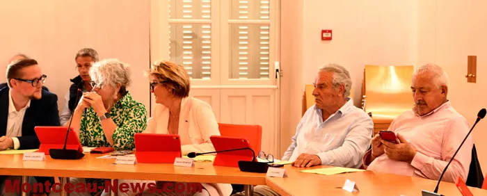 conseil-montceau-0606264