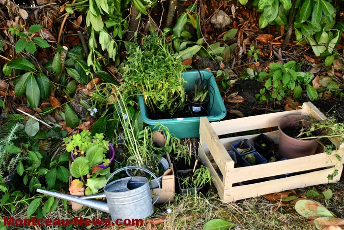 guichet-nature-01062610