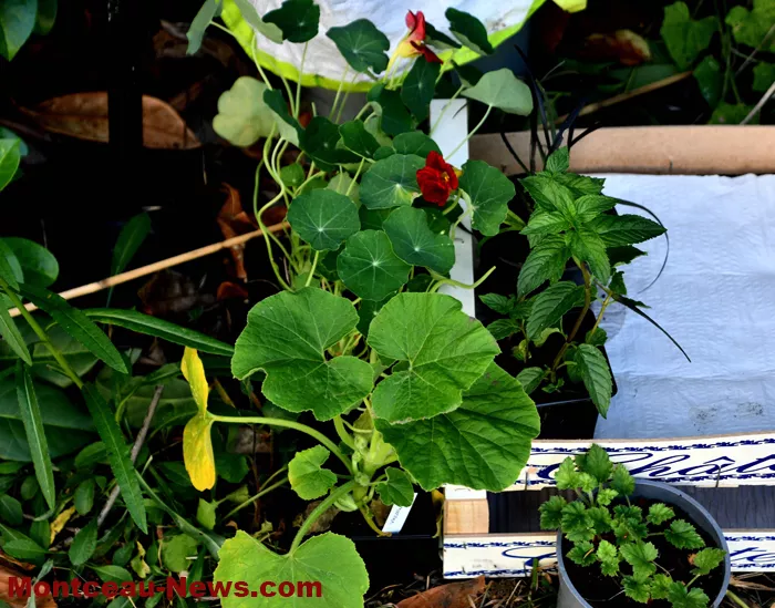 guichet-nature-01062611