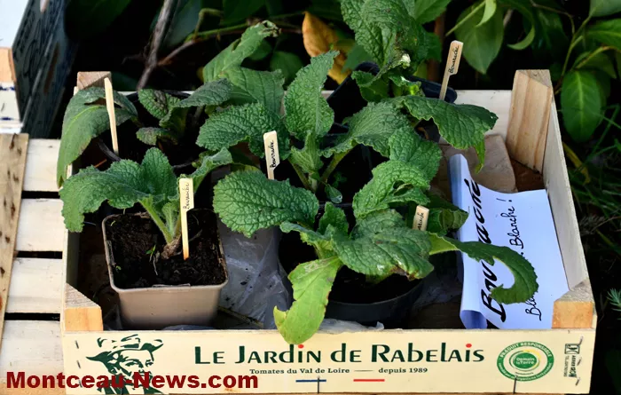 guichet-nature-0106269