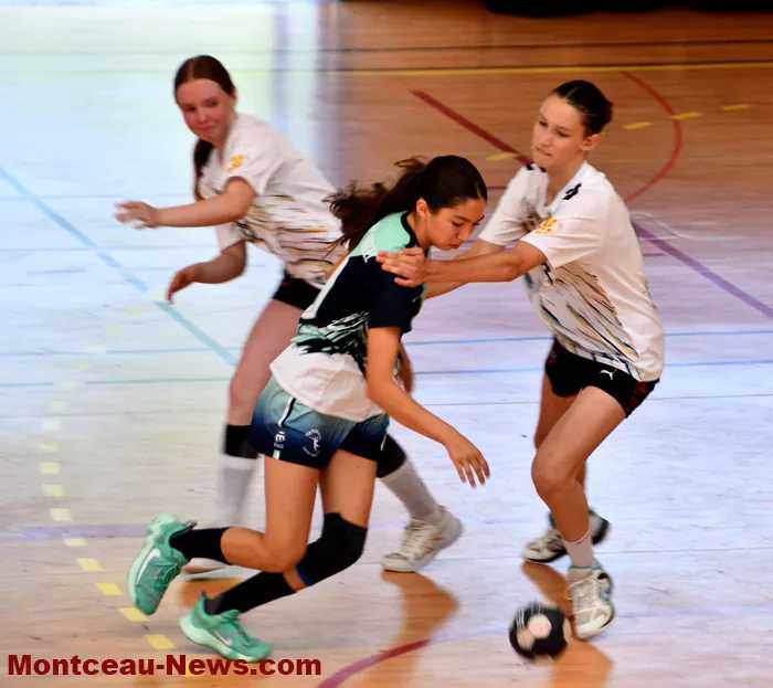 handball-sanvignes-16062625