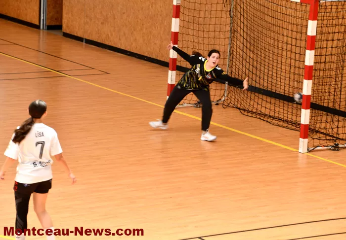 handball-sanvignes-16062627