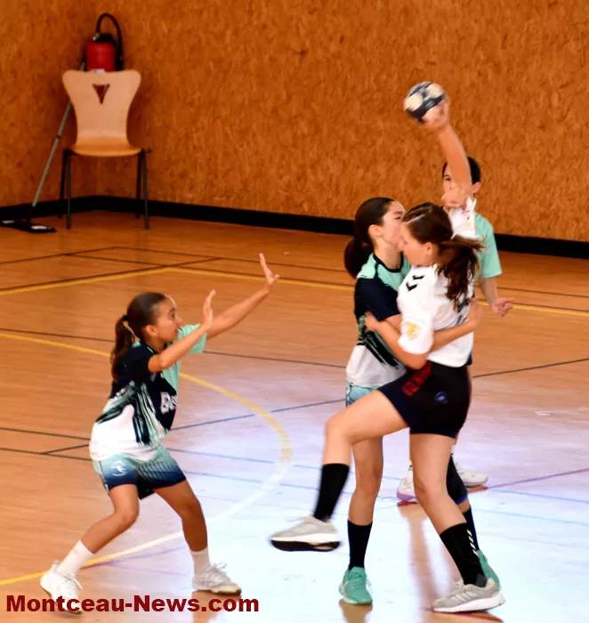handball-sanvignes-16062629