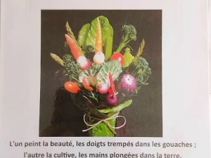 jardin-vert-noix-240626