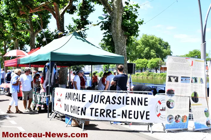 montceau-fet-port-canal-08062629