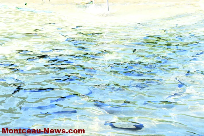 peche-parc-0906261