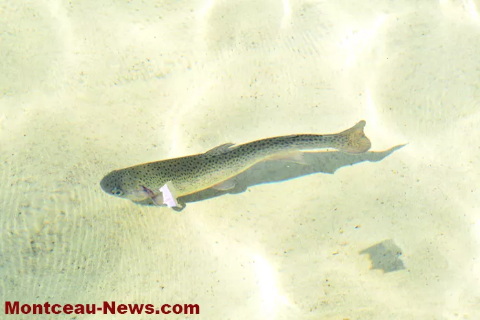 peche-parc-0906264