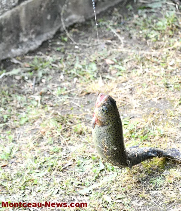 peche-parc-0906269