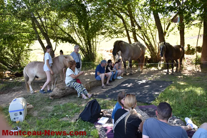 st-romain-chevaux-15052616