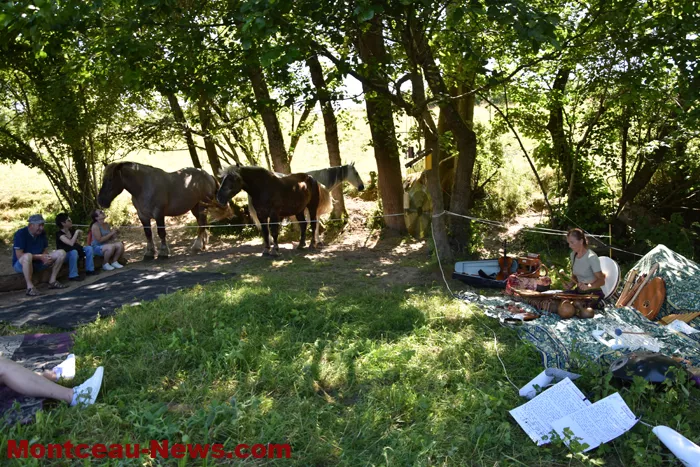 st-romain-chevaux-15052618