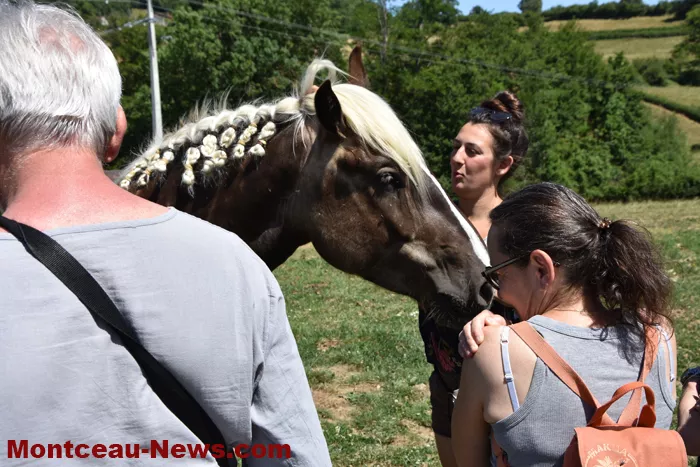 st-romain-chevaux-1505262