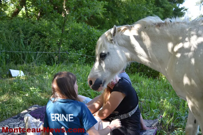st-romain-chevaux-15052625