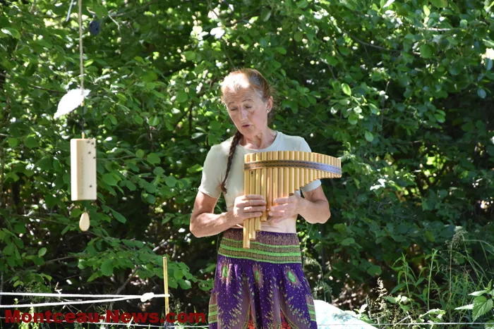 st-romain-chevaux-15052628