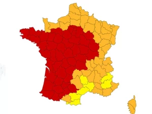 vigilence-rouge-2106261