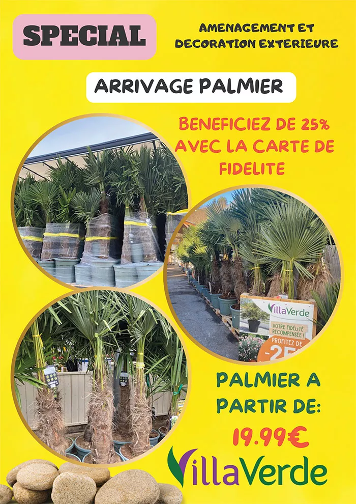 villaverde-1106263